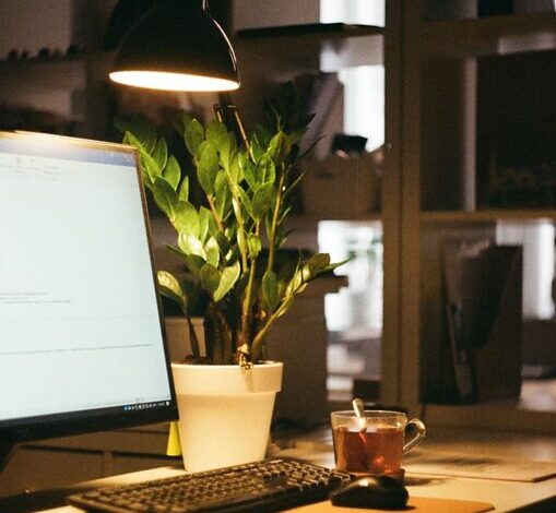 Tips for Creating a Cozy and Organized Home Workspace